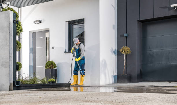 Best Roof Washing  in Demarest, NJ